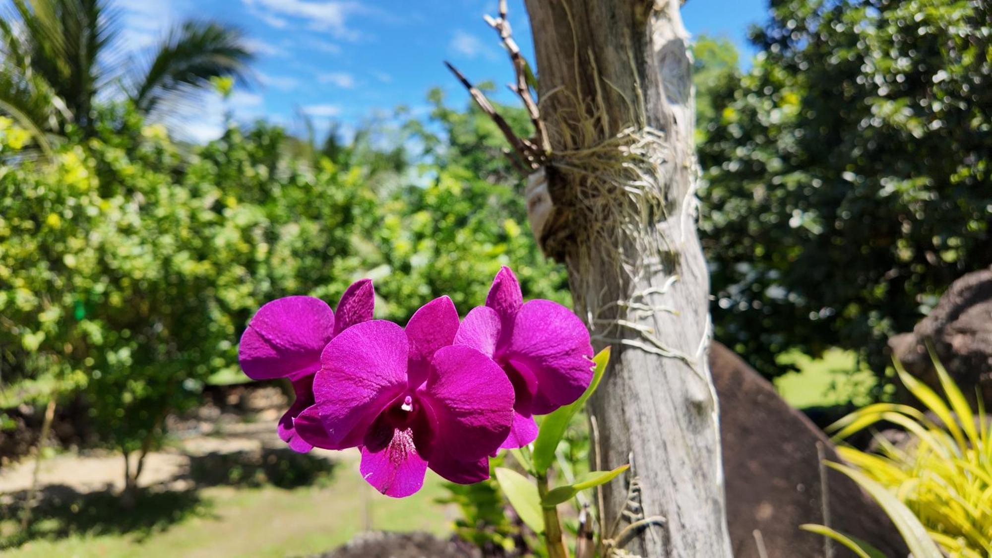 Tongatok Cliff Resort Mambajao Buitenkant foto